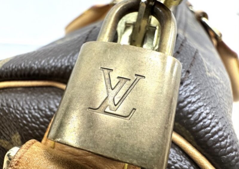 Sac LOUIS VUITTON – Image 8